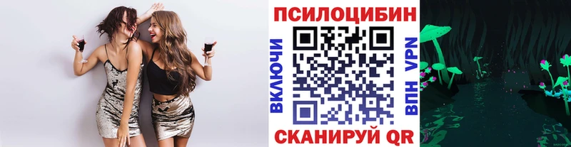 Галлюциногенные грибы Magic Shrooms  Купить закладки  Данилов 
